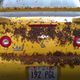 Image for article titled This Is A Chevy Covered In Bees!